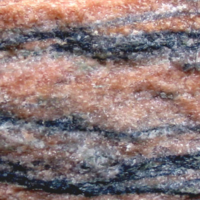 Amostra de Rosa Aurora